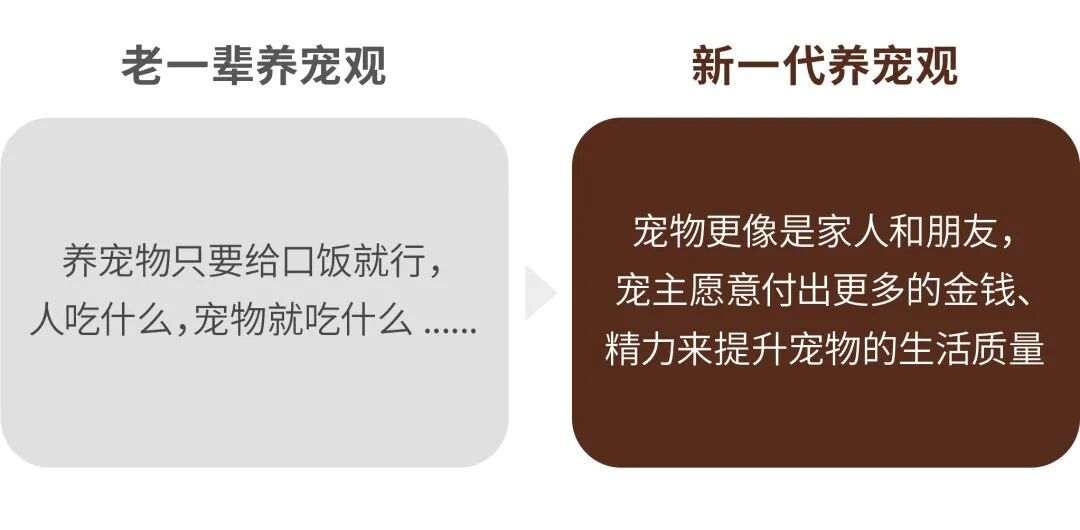 贵族宠粮案例配图 05