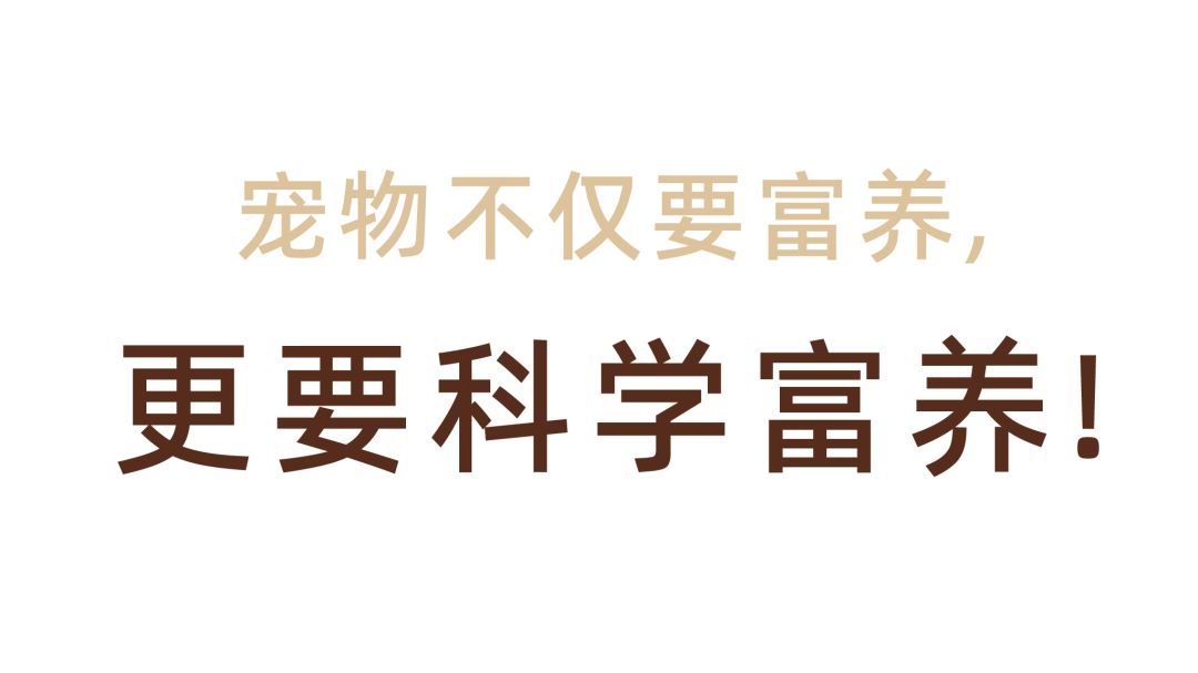 贵族宠粮案例配图 06