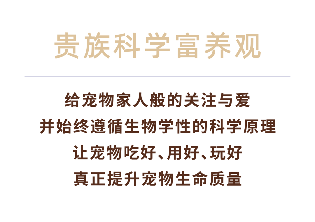 贵族宠粮案例配图 08