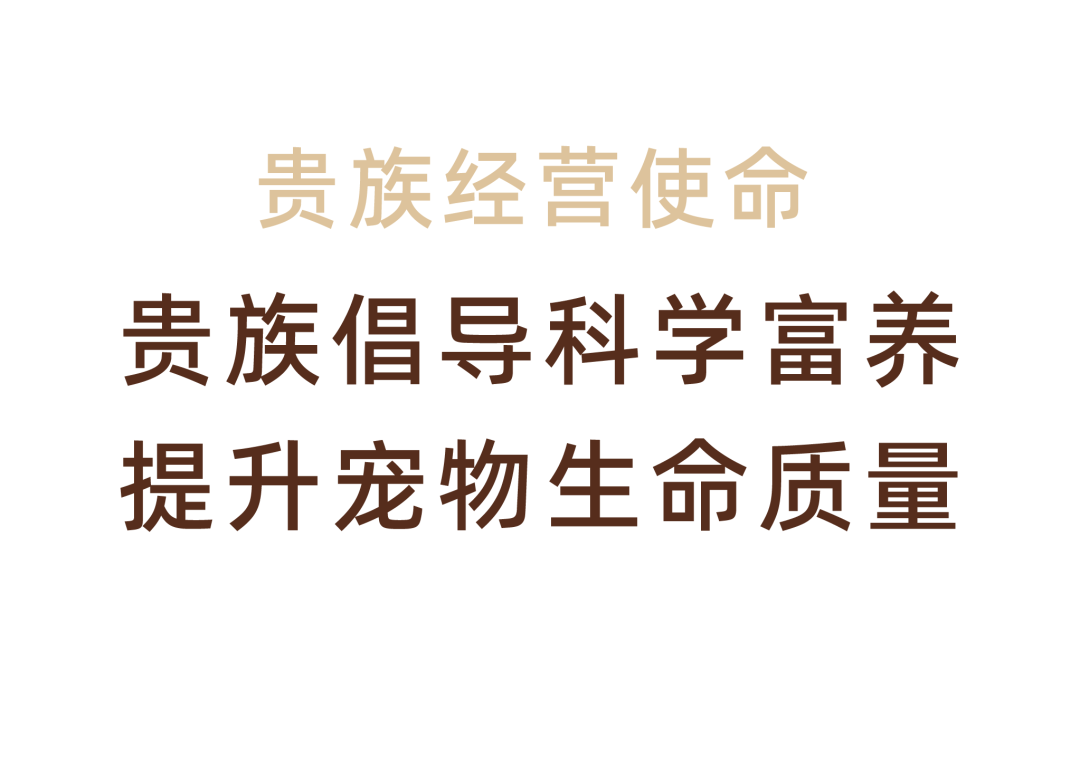 贵族宠粮案例配图 09