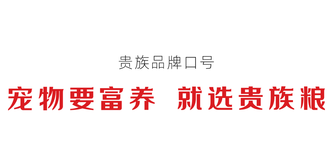 贵族宠粮案例配图 20