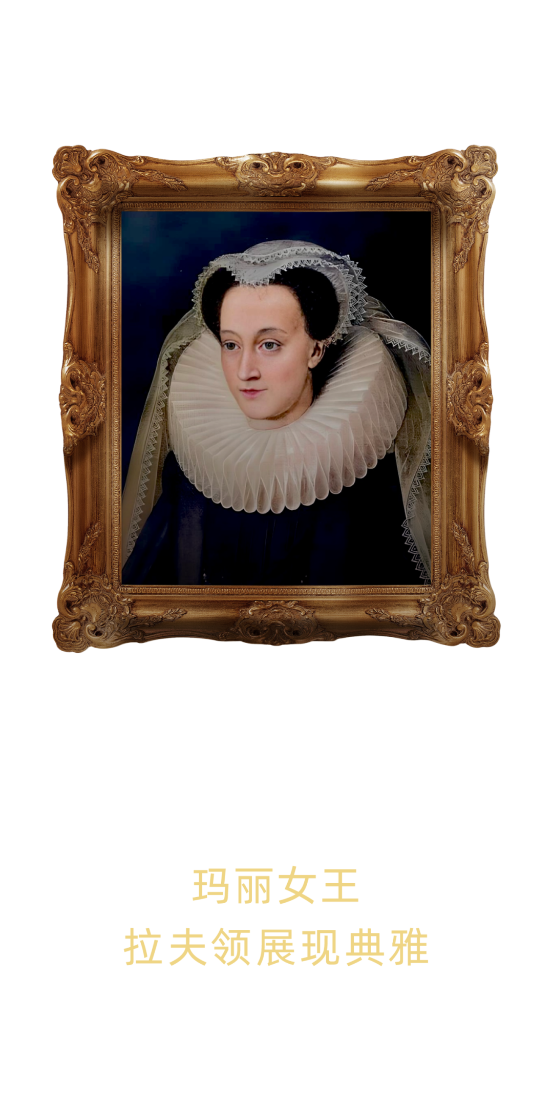 贵族宠粮案例配图 26