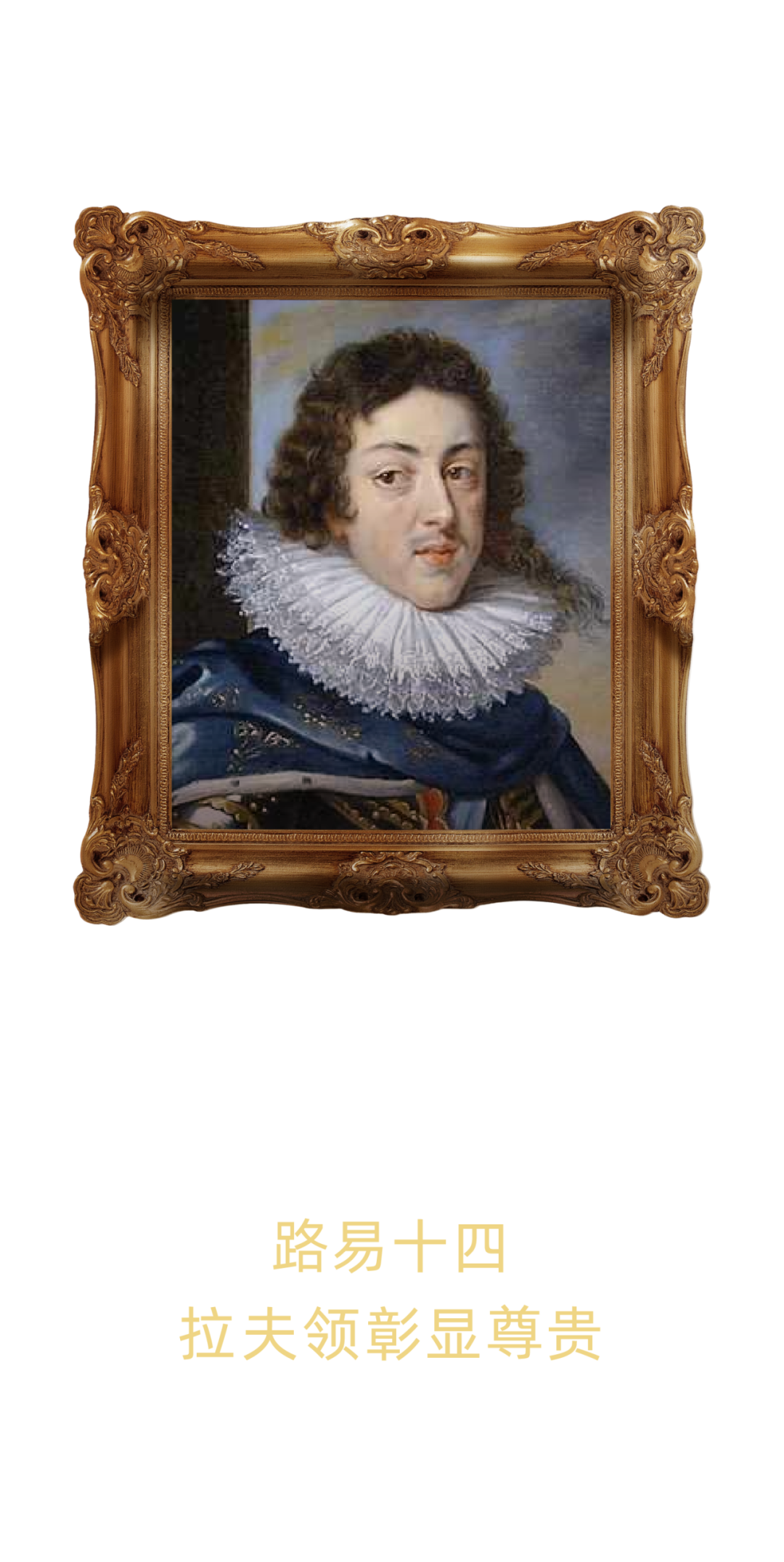 贵族宠粮案例配图 28