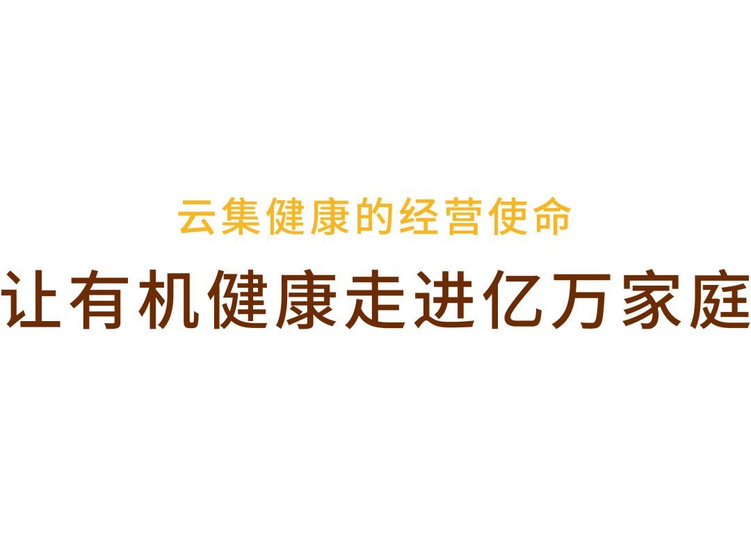 云集 × 九华尊案例配图 02