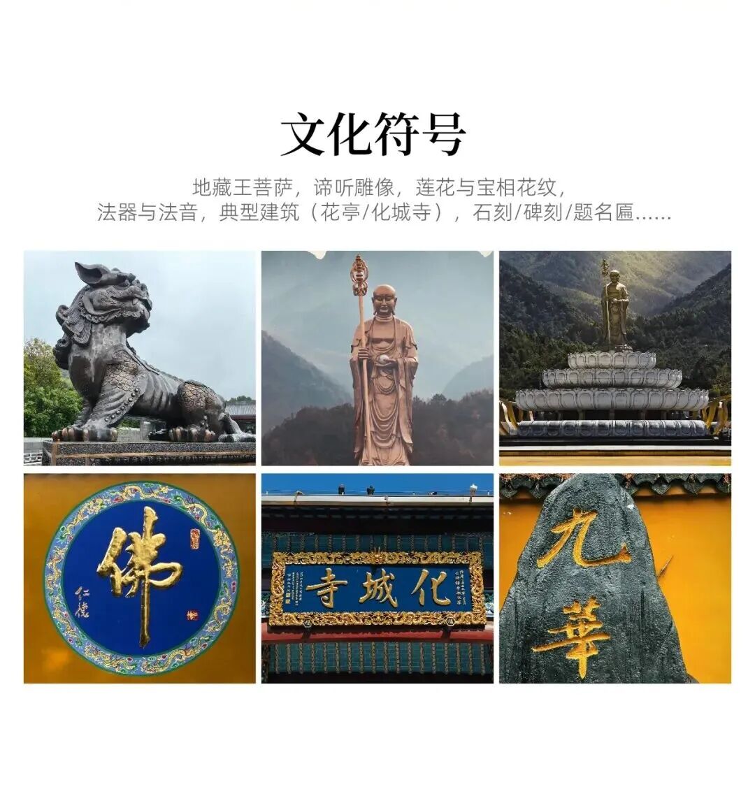 云集 × 九华尊案例配图 13