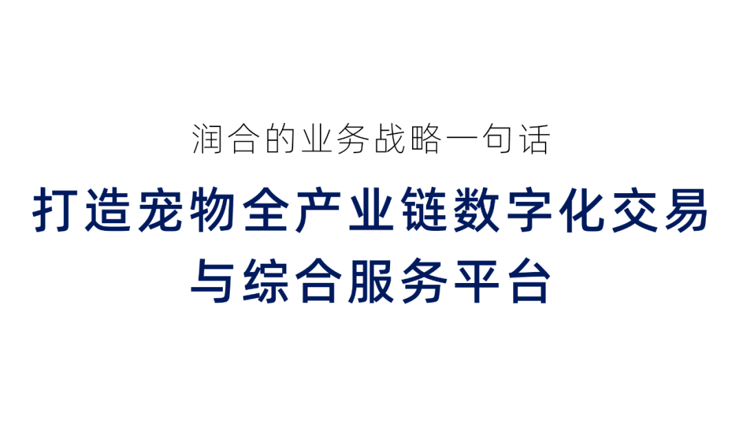 润合宠物全产业链数字化交易与综合服务平台业务战略