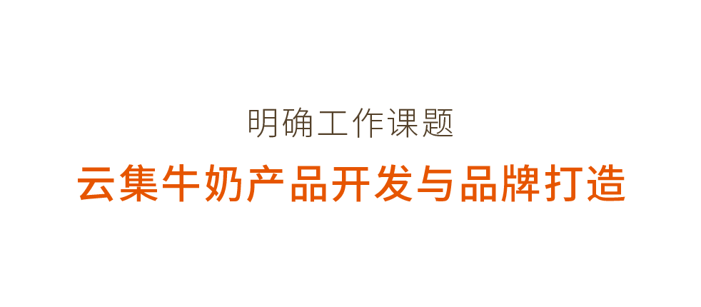 云集 × 优疆案例配图 02